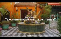 Snik Feat Salva – Dominicana Latina