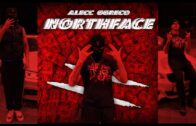Alecc & Ggreco – North Face